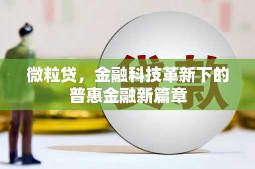宝兴微粒贷，金融科技革新下的普惠金融新篇章