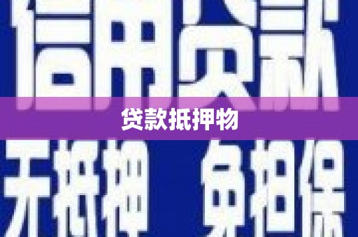坡头贷款抵押物