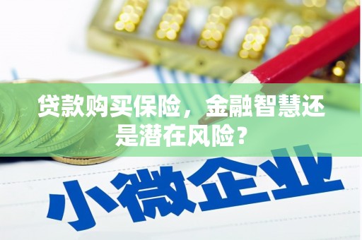 疏附贷款购买保险，金融智慧还是潜在风险？