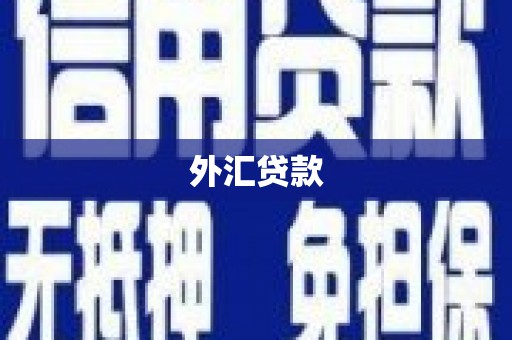 兴宾外汇贷款