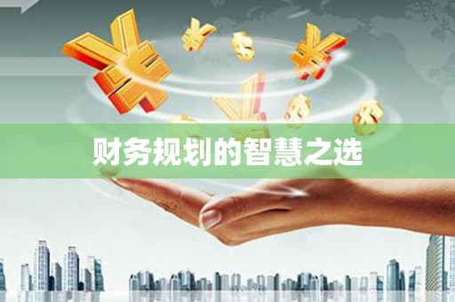 洪雅财务规划的智慧之选