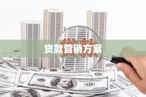 莎车贷款营销方案