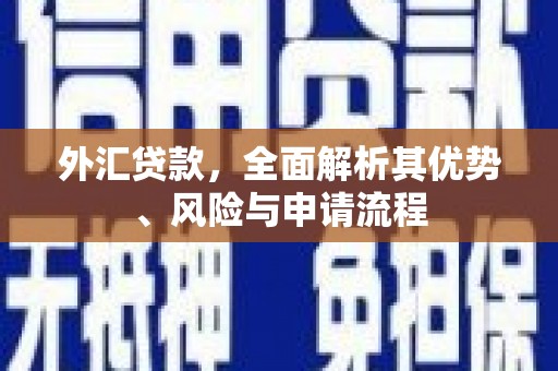 桦川外汇贷款，全面解析其优势、风险与申请流程