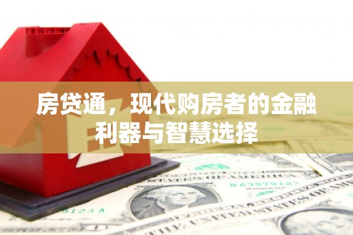 美姑房贷通，现代购房者的金融利器与智慧选择