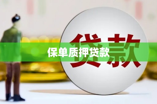 广水保单质押贷款