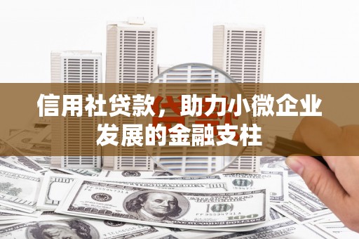 龙崎信用社贷款，助力小微企业发展的金融支柱