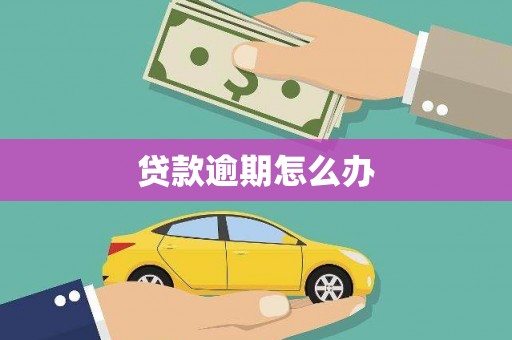 大安贷款逾期怎么办