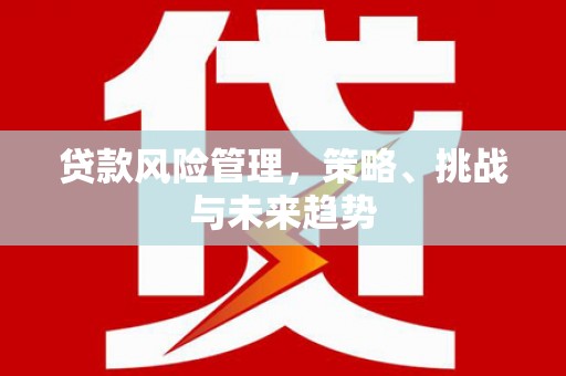 西市贷款风险管理，策略、挑战与未来趋势