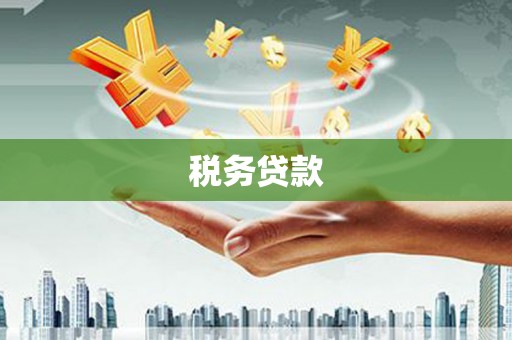 泌阳税务贷款