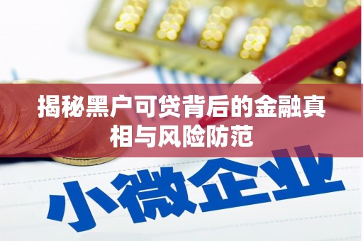 惠济揭秘黑户可贷背后的金融真相与风险防范