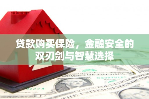 苓雅贷款购买保险，金融安全的双刃剑与智慧选择