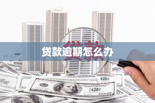 双城贷款逾期怎么办