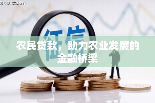 阿里山农民贷款，助力农业发展的金融桥梁