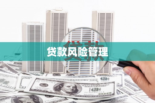 临湘贷款风险管理