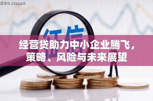 遵化经营贷助力中小企业腾飞，策略、风险与未来展望