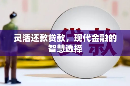 镇远灵活还款贷款，现代金融的智慧选择