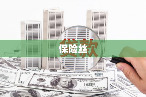 静宁保险丝