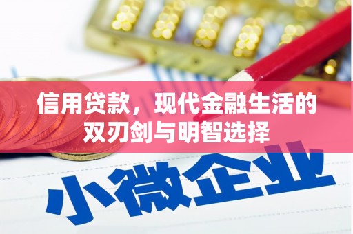 芦淞信用贷款，现代金融生活的双刃剑与明智选择