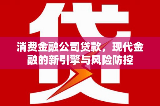 肃南消费金融公司贷款，现代金融的新引擎与风险防控