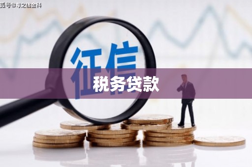 石冈税务贷款