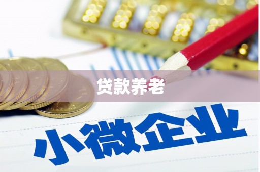 宝山贷款养老