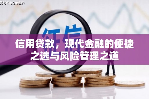 虾峙信用贷款，现代金融的便捷之选与风险管理之道