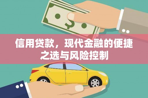康马信用贷款，现代金融的便捷之选与风险控制