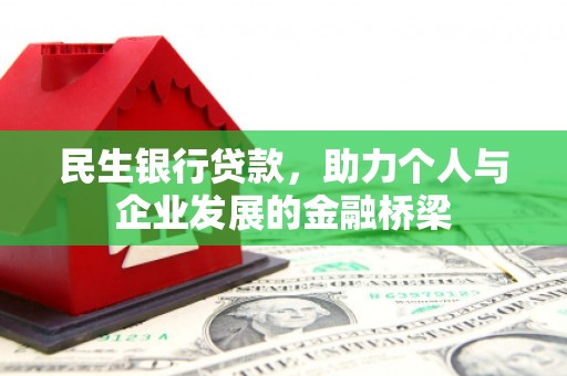 西林民生银行贷款，助力个人与企业发展的金融桥梁