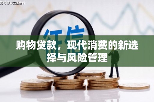 鹤岗购物贷款，现代消费的新选择与风险管理