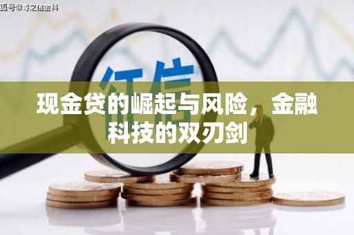 西畴现金贷的崛起与风险，金融科技的双刃剑