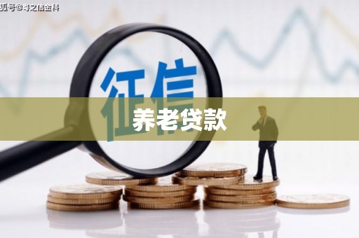 遂昌养老贷款