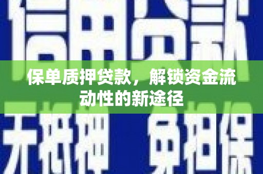 南涧保单质押贷款，解锁资金流动性的新途径
