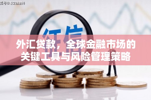 安仁外汇贷款，全球金融市场的关键工具与风险管理策略