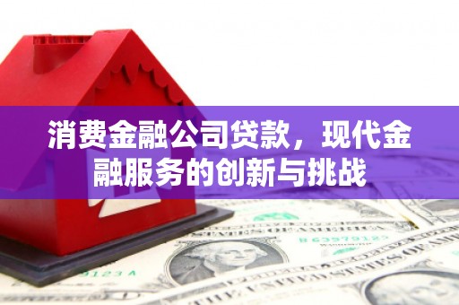 桃江消费金融公司贷款，现代金融服务的创新与挑战