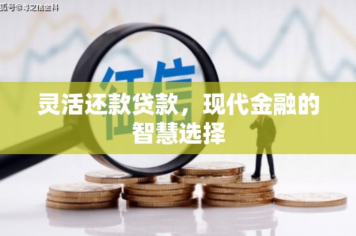 马山灵活还款贷款，现代金融的智慧选择