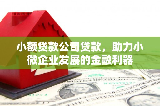 安康小额贷款公司贷款，助力小微企业发展的金融利器
