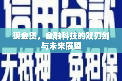 房县现金贷，金融科技的双刃剑与未来展望