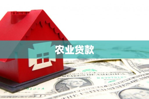 新都农业贷款