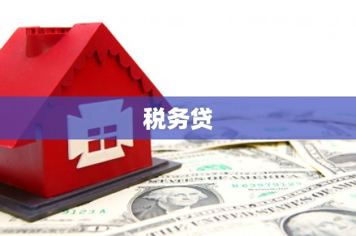 光复税务贷