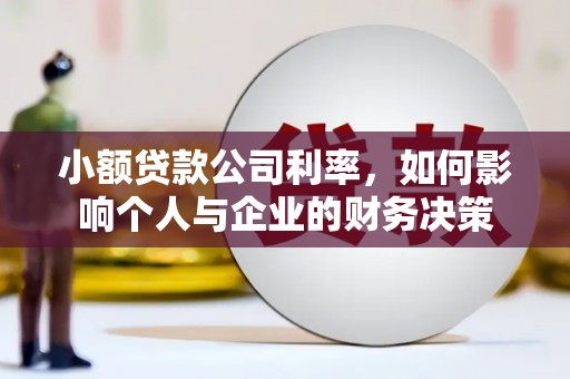 桃城小额贷款公司利率，如何影响个人与企业的财务决策