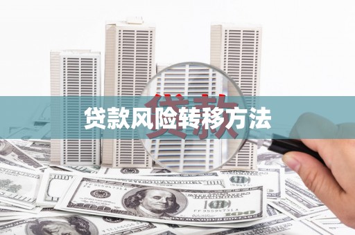 礼县贷款风险转移方法