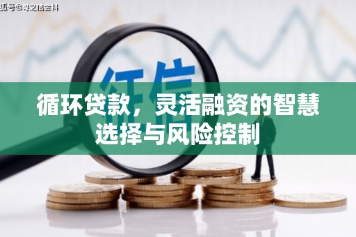 开阳循环贷款，灵活融资的智慧选择与风险控制