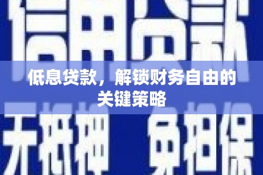 长滨低息贷款，解锁财务自由的关键策略