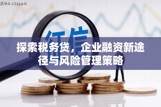 颍泉探索税务贷，企业融资新途径与风险管理策略