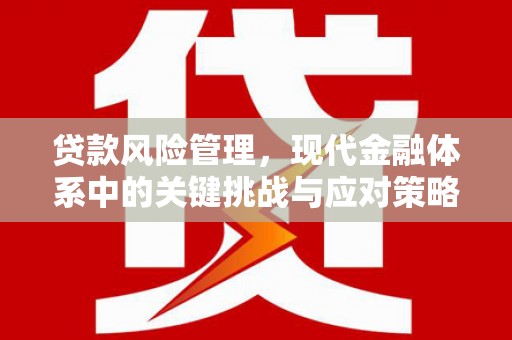 武陟贷款风险管理，现代金融体系中的关键挑战与应对策略