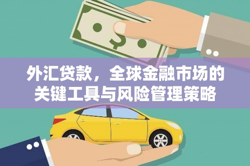 太麻里外汇贷款，全球金融市场的关键工具与风险管理策略