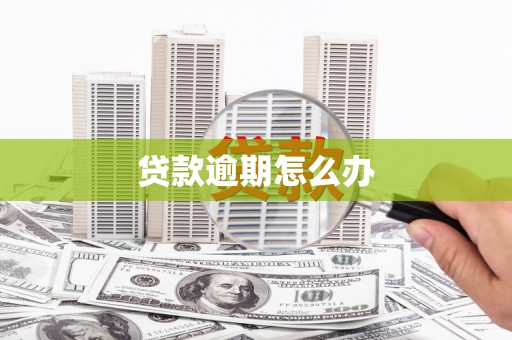 贞丰贷款逾期怎么办