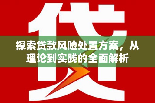 天峨探索贷款风险处置方案，从理论到实践的全面解析