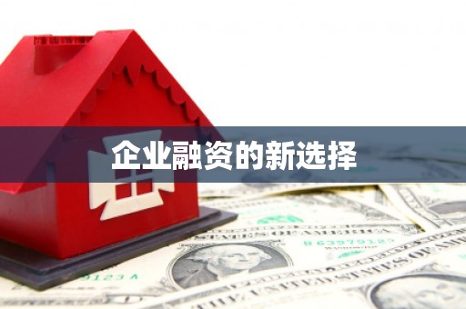 洋县企业融资的新选择