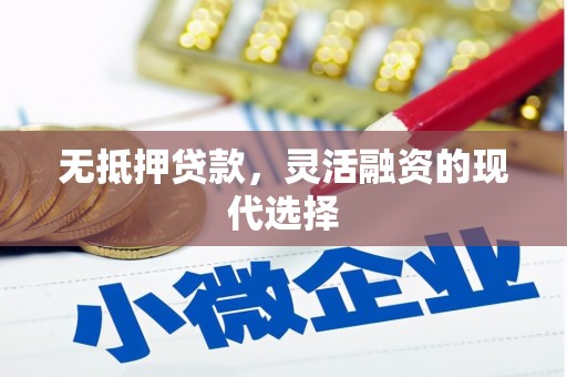 应县无抵押贷款，灵活融资的现代选择